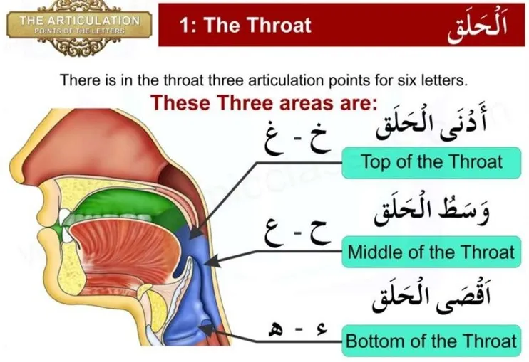 Shia Tajweed specialist teacher at Al Qaim Quran Academy